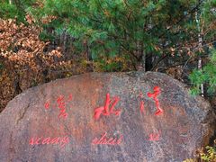 -五营红松林海景区