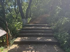 -杭州半山国家森林公园