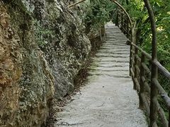 -天女山森林公园