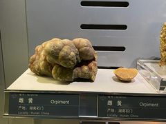 -中国地质博物馆