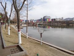 -雁滩公园