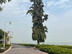-深圳湾公园(南山区)