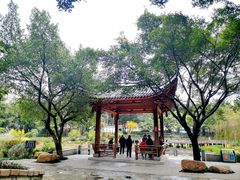 -光明港公园
