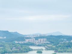-惠州康帝国际酒店