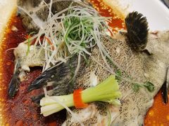 -紫阳海鲜楼·传承闽味(长乐路总店)