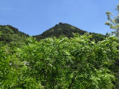 -济南富力凯悦酒店