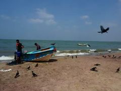 -尼甘布海鲜市场