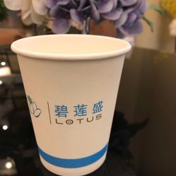 -碧莲盛·不剃发植发