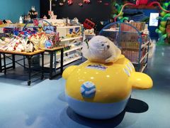 -沙沙哗啦海洋馆(华宇百花谷店)