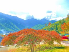 -山沟沟景区