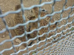-五龙山野生动物王国
