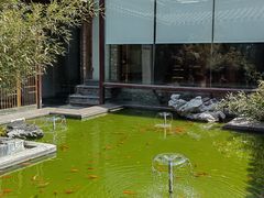 -竹雨堂创意中国菜(裕华店)
