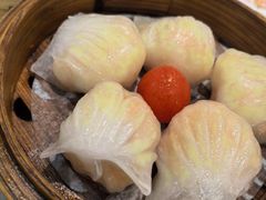 -益健美食大广场(北岭店)