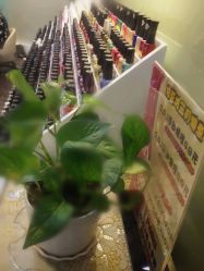 指慕坊现已装修完毕，欢迎新老顾客来指慕-指慕坊美甲造型