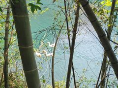 -石台牯牛降景区
