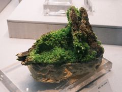 -湖南省地质博物馆