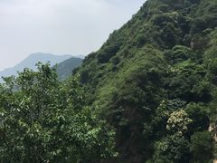 -大岭沟猕猴桃谷风景区