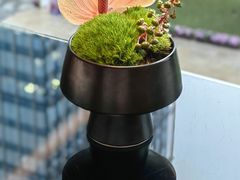 -夏宫中餐厅(静安香格里拉店)
