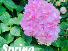 -常州古运河南大街文化旅游区-人民公园