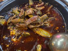 -金海椒罐罐鲢鱼(东方桂苑店)