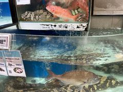-盒马鲜生(新都心店)