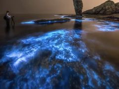 -小黑石海滨浴场·停车场