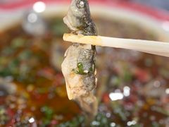 柳根鱼-陈胖子鱼庄(黄辣丁新津店)