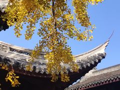 -龙华素斋(龙华路店)