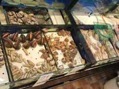 -添福来墨鱼饺子 · 海鲜东北菜(泡崖店)