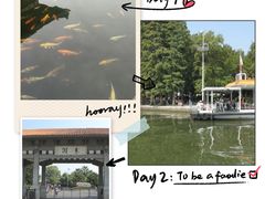 -东湖落雁景区