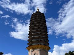 -八大处公园