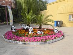 -北京石景山游乐园