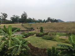 -美的鹭湖森林度假区