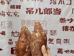 -赵老蒯土窑坑烤
