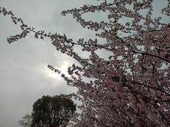 -澹台湖公园