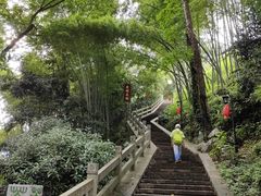 -龙井村