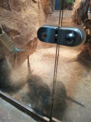 点击看大图 -宝燕乐园(闵行旗舰店)