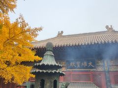 -红螺寺