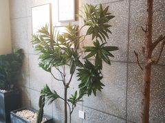 -莓超疯