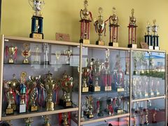 -长春乐奇平衡车儿童体能运动中心