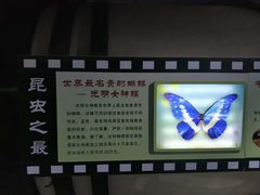 -上海大自然野生昆虫馆(东方明珠·爬宠昆虫探索中心)