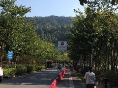-火炉山森林公园