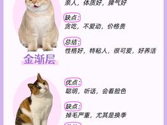 -lincat·猫舍(广州店)