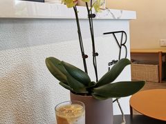 -LAB COFFEE来杯咖啡(浦仓路店)