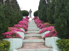 -龙环葡韵住宅式博物馆