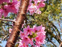 -桃花涧