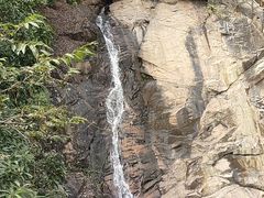 -广州白江湖森林公园