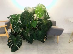 -边渡咖啡烘焙店(昙华林店)