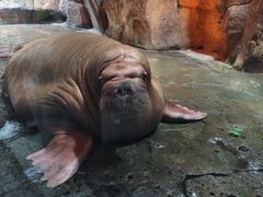 -波塞冬海底世界
