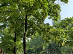 -沙河三洞古桥公园